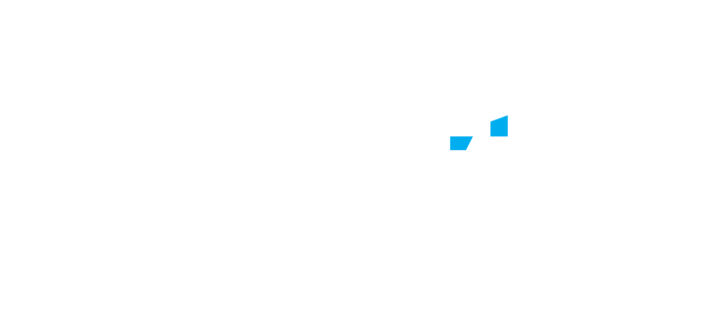 Partner strategiczny